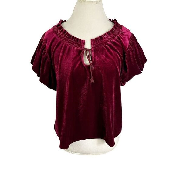 Free People Tops - Free People Terese Garnet Red Velvet Short Puff Sleeve Top Boho Fall Size M